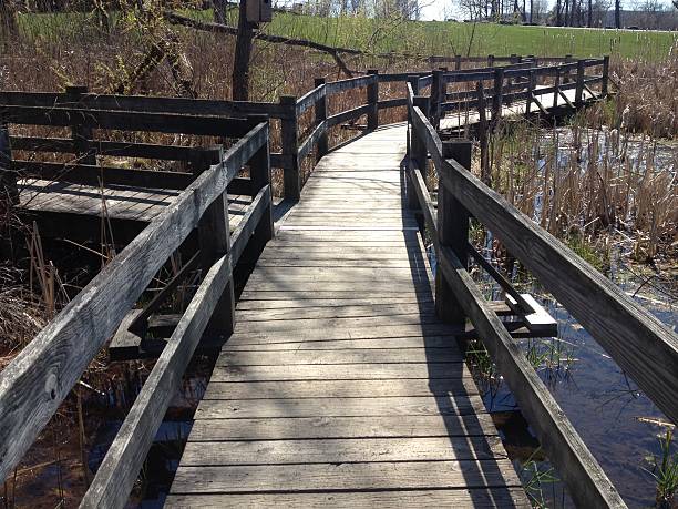 istock Wooden walkway bridge over a pond 522742424