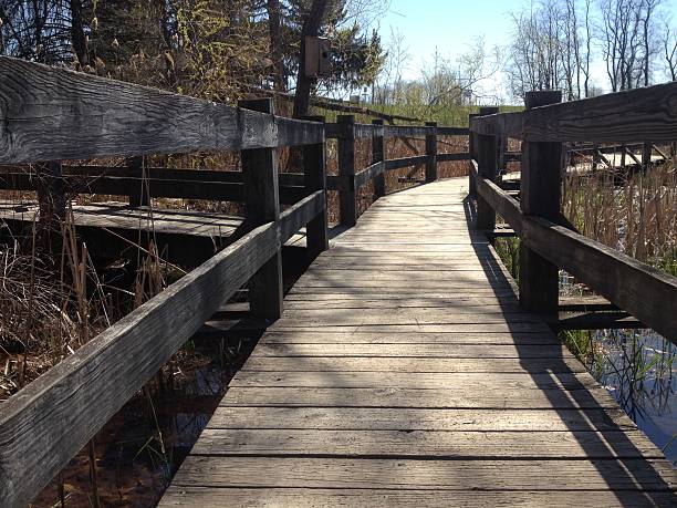 istock Walkway Bridge over a pond at a park 522742464