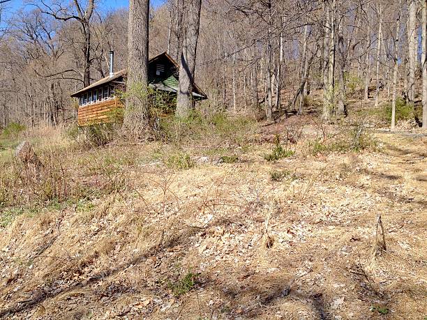 istock Building sits in the middle of the forest 522744110