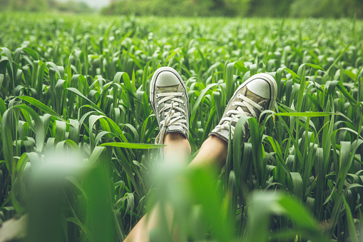 Woman's legs lying in corny field