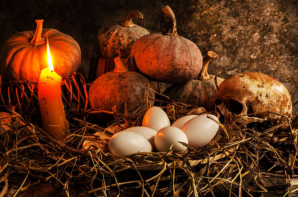 pays nature morte - vanitas photos et images de collection