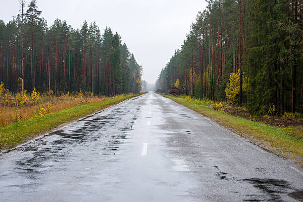 istock wet asphalt road with sun reflections 522748799