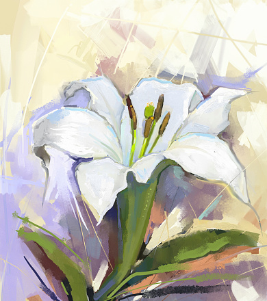 White lily flower.Flower oil painting