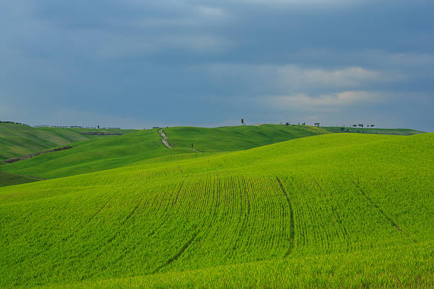 istock Rolling Hills of Tuscany, Italy 522749606