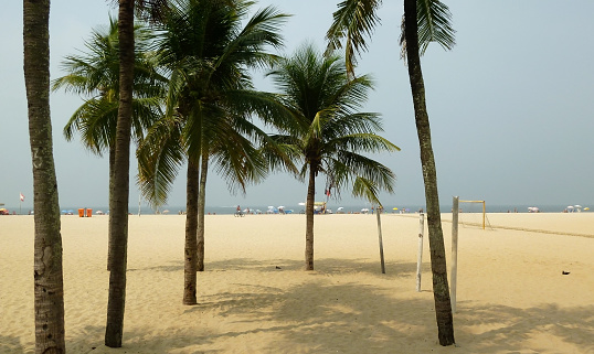 View of palm trees from Copacabana beach