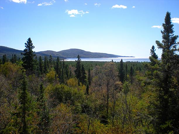 istock Neys Provincial Park, Ontario 522750085