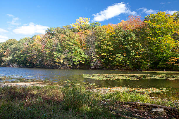 istock Rockefeller State Park Preserve at Autumn 522750447