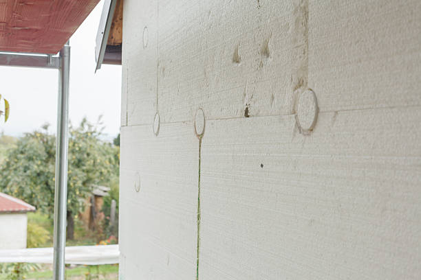 istock closeup of anchoring facade polystyrene 522753050