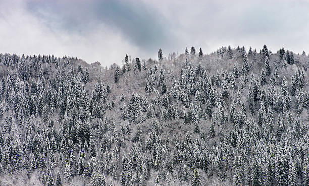 istock Winter in Italian Mountains 522753553
