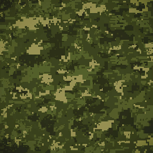 illustrazioni stock, clip art, cartoni animati e icone di tendenza di verde camoflage motivo - battledress