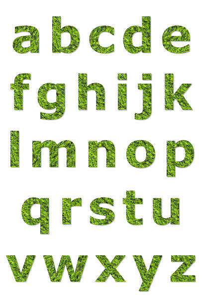 istock lower letter of green lichen 522762069