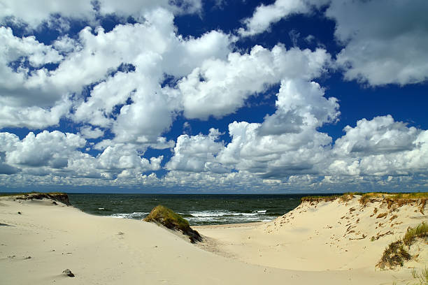 istock Baltic dunes. Kaliningrad region, Russia 522763977