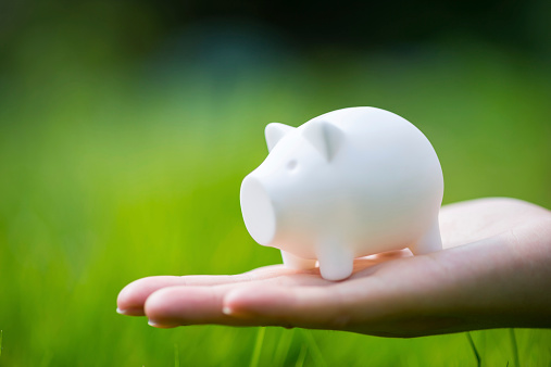 Close-up of hand holding piggy bank in nature.