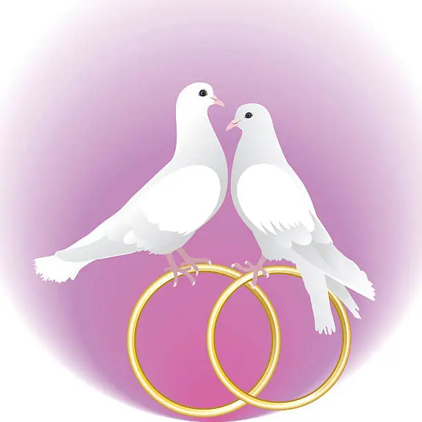 Vector illustration of Two white pigeons and gold wedding rings