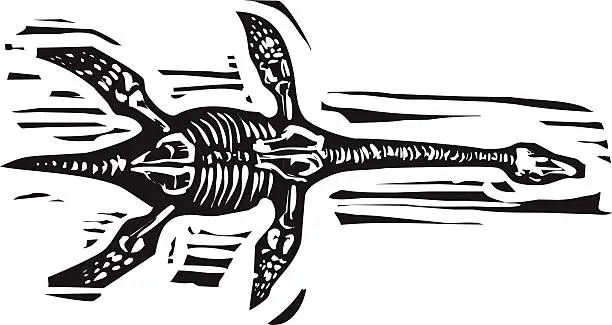 Vector illustration of Plesiosaurus Fossil