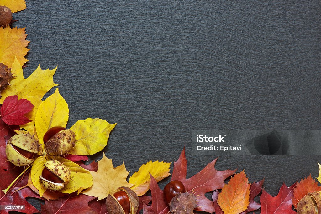 Autumn leaves Frame from multi-colored autumn leaves on a background of black stone Autumn Stock Photo