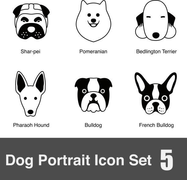 set of cute dog face icons, vector illustration Dog face  icon design series mini shar pei puppies stock illustrations