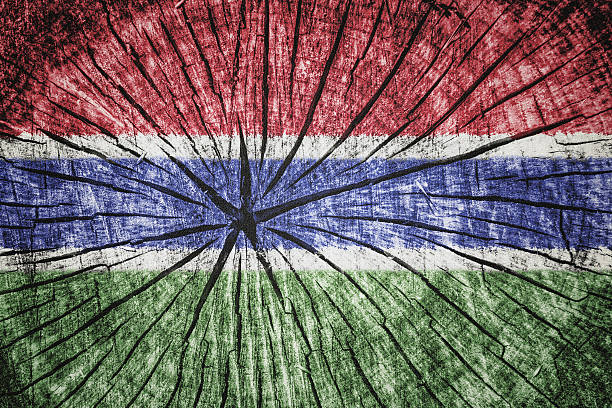istock Flag of Gambia 522777815