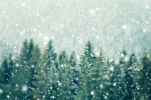 Winter Background Stock Photo - Download Image Now - Backgrounds,  Vacations, Holiday - Event - iStock