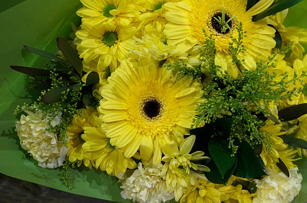 Cut Flowers Beautifully Arranged Showing Off Natures Stunning Colour Palette.
