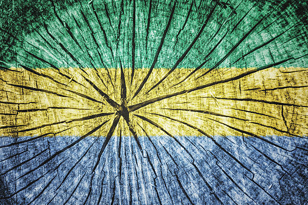 istock Flag of Gabon 522779297
