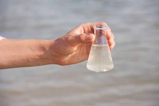 istock Water Purity Test. Hand holding a chemical flask with water 522779750
