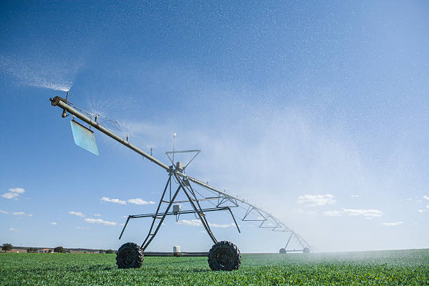 istock Crop Irrigation center pivot sprinkler system 522780540