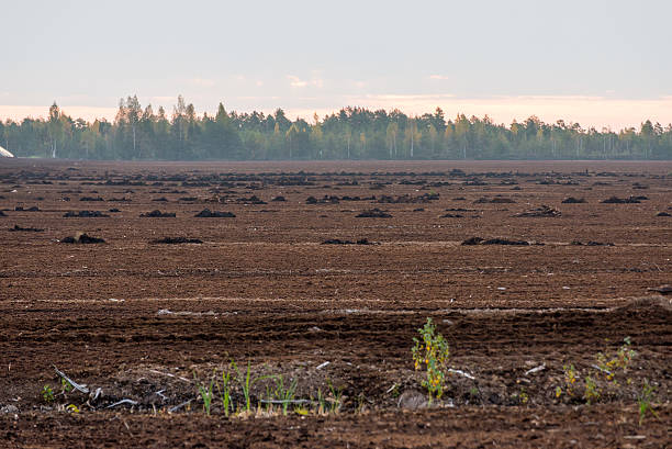 istock turf field in the country 522781871