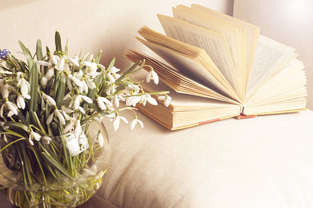 istock Open book on a pillow in bed. homeliness 522784532