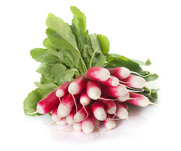 radis dans le studio - radish bunch red vegetable photos et images de collection