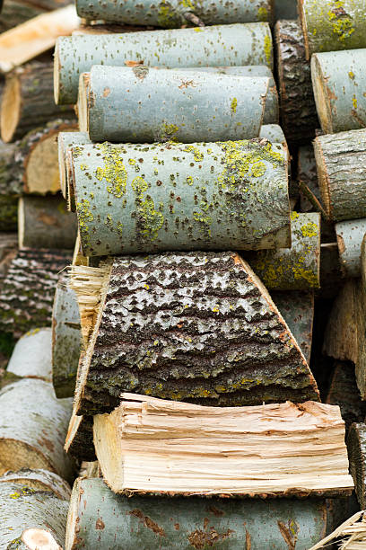 striscio striato - logpile foto e immagini stock