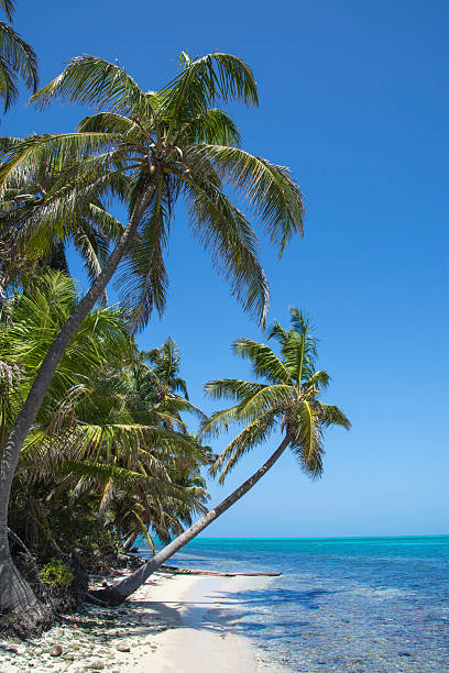 istock Tropical island perfection 522790776