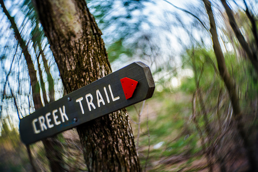 Trail direction sign in the forest