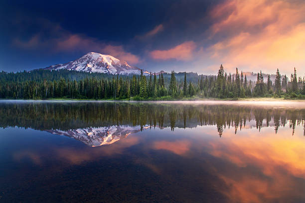 Mt Rainier and reflections This photo was taken in a foggy early morning. The lake was so calm that it's like a mirror. pacific northwest photos stock pictures, royalty-free photos & images