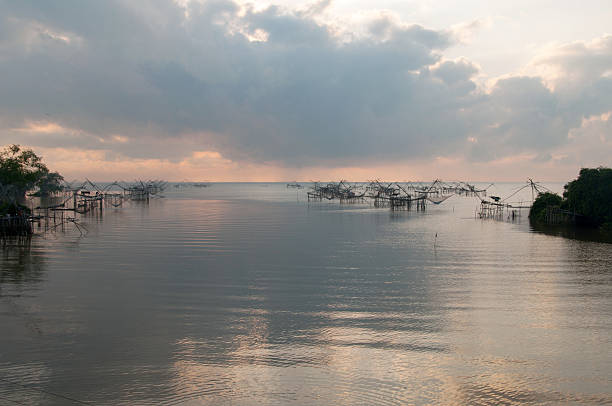 istock Catching fish with fishnet on the talanoi,pattalung Thailand 522792544
