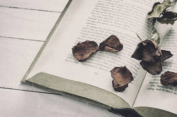 istock Dry roses flower at opened book with grunge tone 522794298