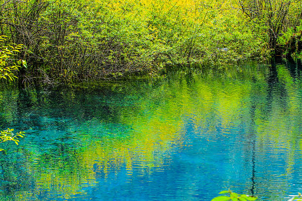 colorful water surface in autumn