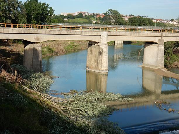 ponte ferroviario sul fiume - parapetto photos et images de collection