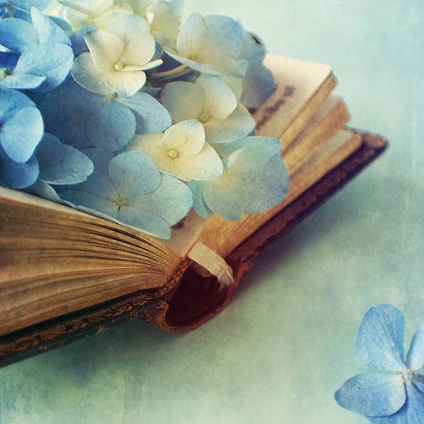istock Hortensia flower on the open book 522799735