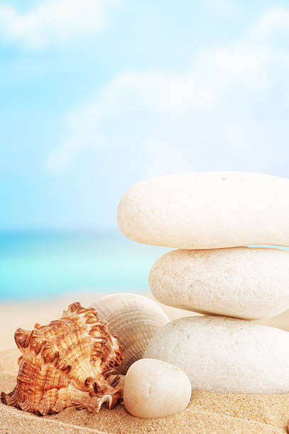 istock Landscape with stones and shells on tropical beach 522800965