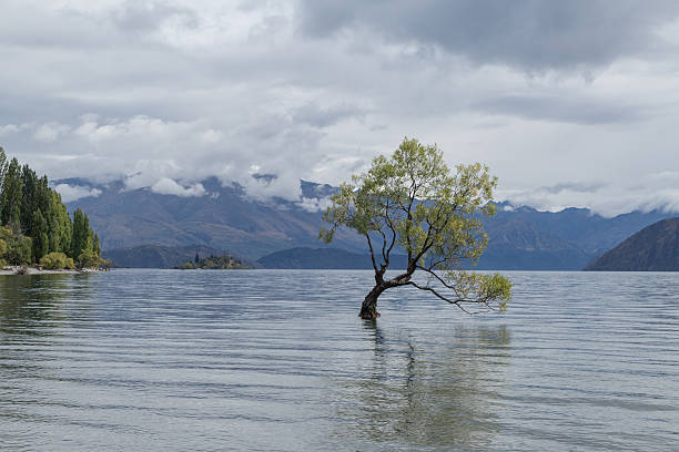 istock Lake Wanaka, New Zealand 522801208