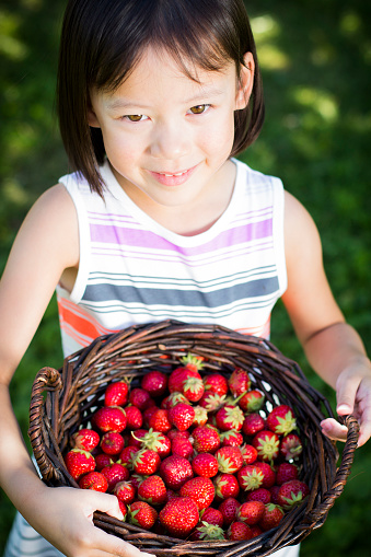 Little girl looking up and showing picked strawberries.