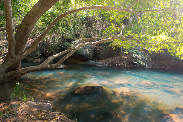 istock waterfall Tat Ton National Park Chaiyaphum, Thailand 522803630