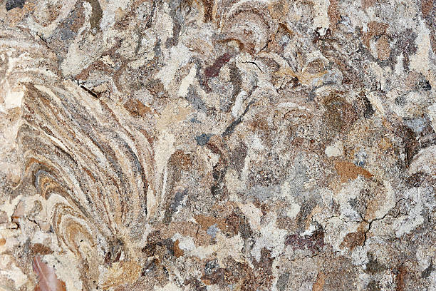 istock abstract texture of hornet or wasp lair 522806136