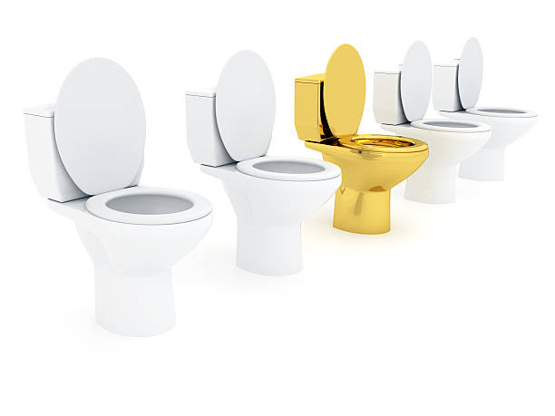 istock VIP Toilet bowl 522806722