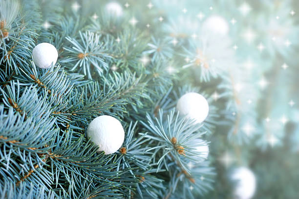 istock Snowballs on Christmas tree outdoors 522816515