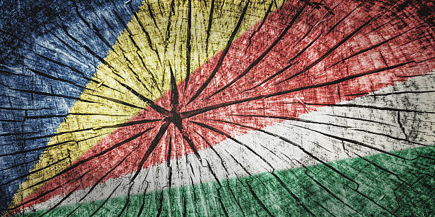 istock flag of the Seychelles 522816913