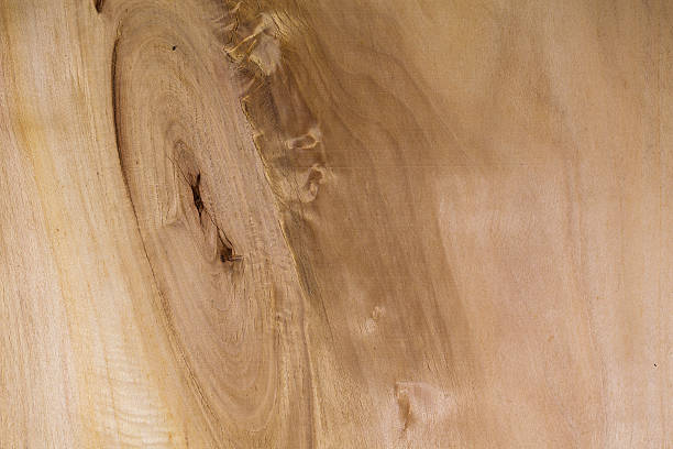 istock Realistic wood veneer with interesting growth rings 522818977