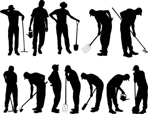 Vector silhouettes of people. Vector silhouettes of people for gardening tools. farmer stock illustrations