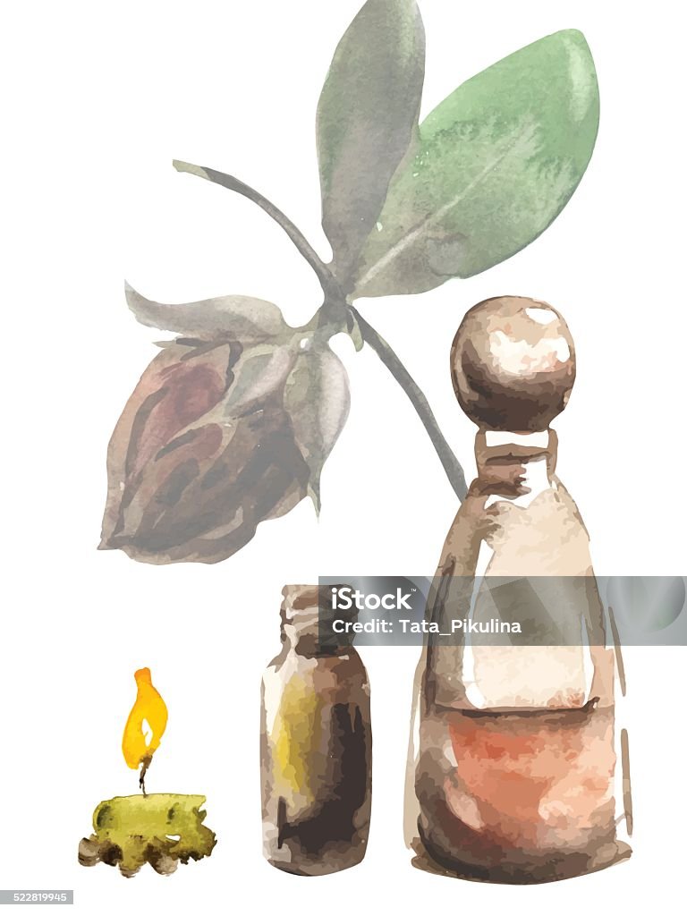 Jojoba aromatherapy set Set of vector isolated watercolor hand drawn objects for aromatherapy, all objects are separate. Transparency was used to create this file Jojoba stock vector